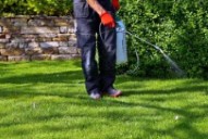 Fire Ant Control Atlanta